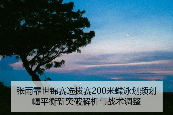 zhang-yu-fei-shi-jin-sai-xuan-ba-sai-mi-die-yong-hua-pin-hua-fu-ping-heng-xin-tu-po-jie-xi-yu-zhan-shu-tiao-zheng-2-523.jpg